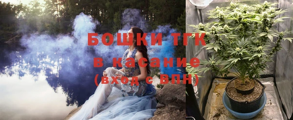 ПСИЛОЦИБИНОВЫЕ ГРИБЫ Медногорск