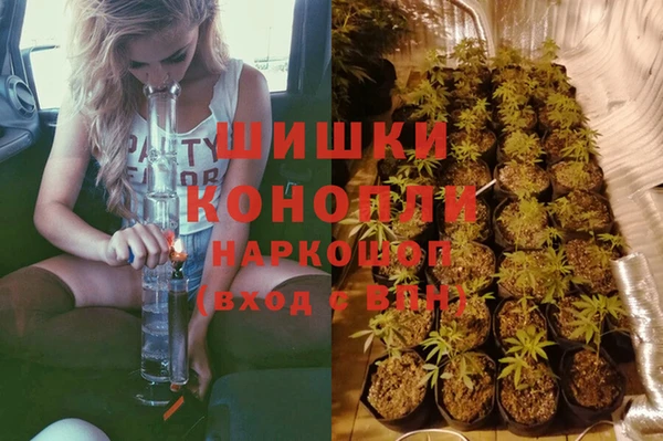 ПСИЛОЦИБИНОВЫЕ ГРИБЫ Медногорск