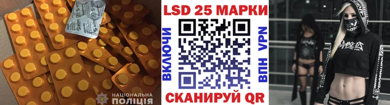где купить наркотик  Питкяранта  ЛСД экстази ecstasy 