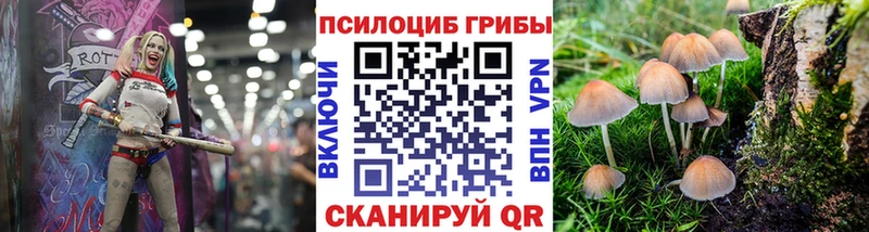 купить наркоту  omg зеркало  Галлюциногенные грибы прущие грибы  Питкяранта 